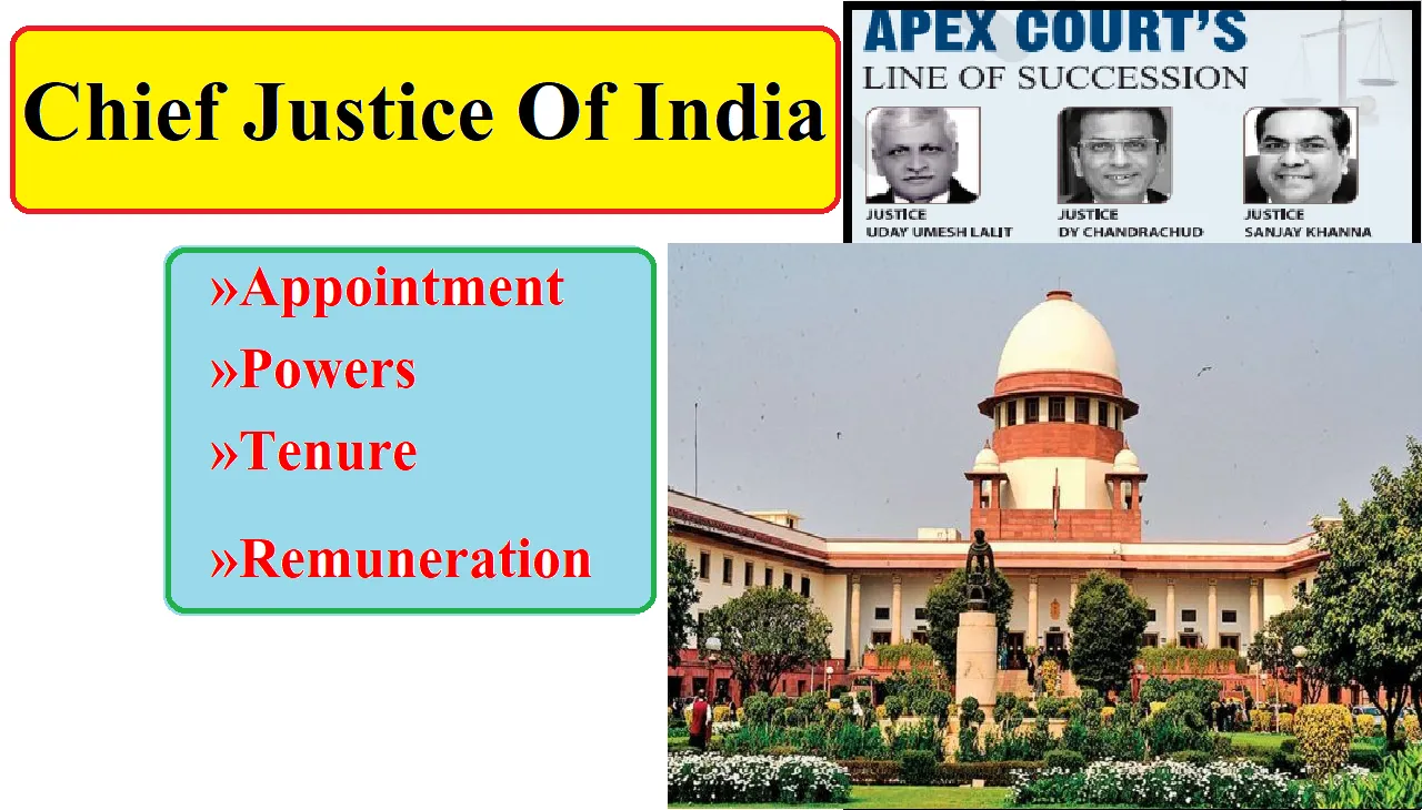 Chief Justice of India (CJI)